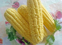 新�r玉米